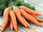 Продажа моркови оптом 
