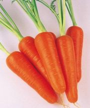 Продам Морковь 