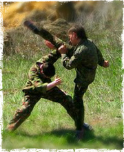 Русский рукопашный бой (индивид. тренировки)