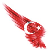 Курс турецкого языка в учебном центре «Твой Успех»Херсон